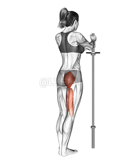 站立髋部伸展 demonstration