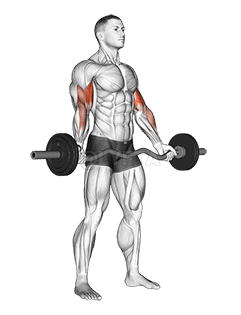 EZ-Shitanka Kaçurrela e bicepsit me kapje të gjerë në këmbë demonstration