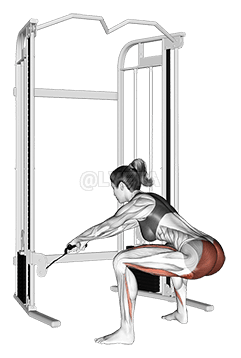 繩索站立髖部推力 demonstration