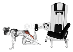 槓桿跪式反向過度伸展 demonstration