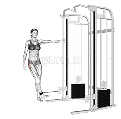 Abdución de cadeira por cable demonstration