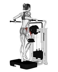 Kar oldali csípőrablás demonstration