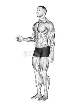 Alkar – Pronáció – Artikulációk demonstration