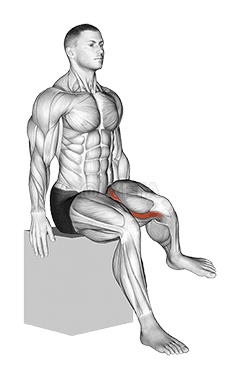 Cadera - Rotación lateral demonstration