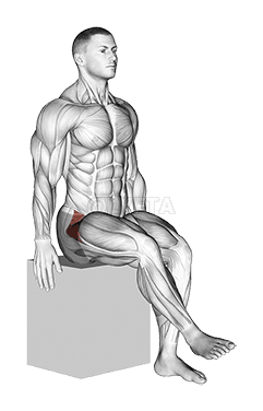 Cadera - Rotación Medial demonstration