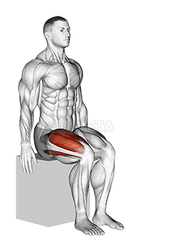Knee - Extension - Articulations demonstration