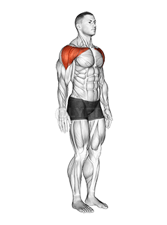 Gualainn - Fuadach - Articulations demonstration