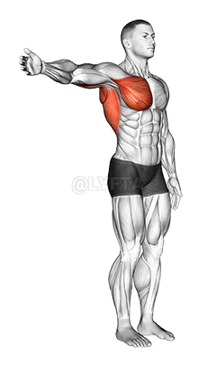 어깨 - 내전 - 관절 demonstration