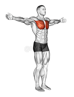 어깨 - 가로 내전 - 관절 demonstration