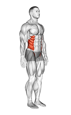 रीढ़ की हड्डी demonstration