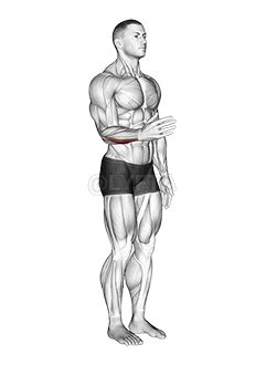 Pergelangan Tangan - Adduksi - Artikulasi demonstration