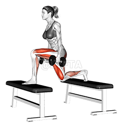 Dumbbell Step-up Lunge demonstration