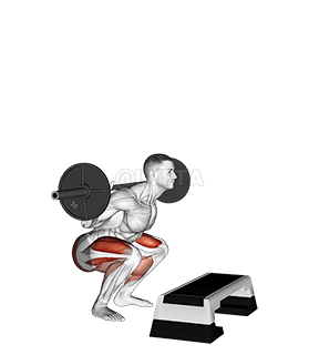 Barbell Squat Jump Step Fente arrière demonstration