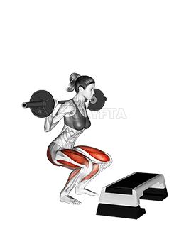 Thumbnail for the video of exercise: बारबेल स्क्वाट जंप स्टेप रियर लंग