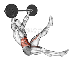 Barbell Sitted Alternate Leg Raise demonstration