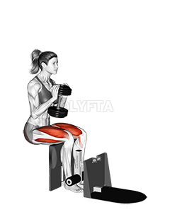 Thumbnail for the video of exercise: Dumbbell Supported Squat