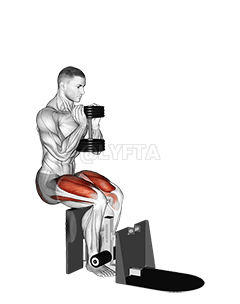 Thumbnail for the video of exercise: Dumbbell Supported Squat