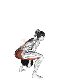 Pull Through de sumo con mancuernas demonstration