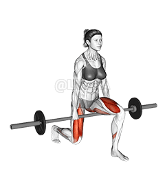 Barbell Split Squat demonstration