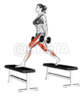 Dumbbell Step-up Split Squat demonstration