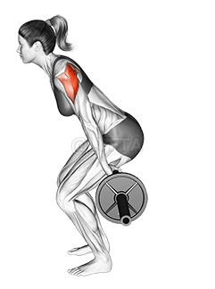 Skieur avec haltères demonstration