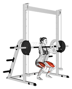 Thumbnail for the video of exercise: Smith Front Squat