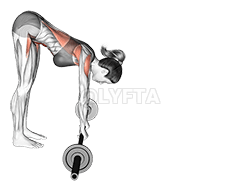 Barbell Standing ab rollout demonstration