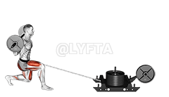 Estocada trasera con trineo eléctrico demonstration