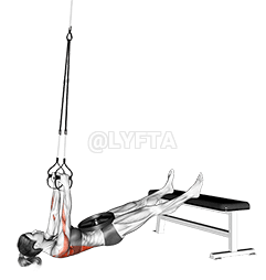 አንጠልጣይ ክብደት የተገለበጠ ረድፍ demonstration