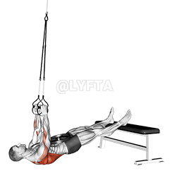 አንጠልጣይ ክብደት የተገለበጠ ረድፍ demonstration