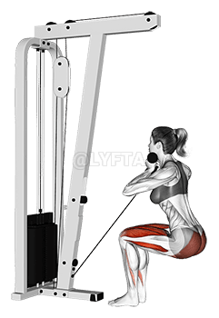 電纜窄椅站起來 demonstration