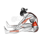 Étirement de la colonne vertébrale vers l’avant demonstration