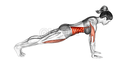 Podrška za povlačenje sprijeda demonstration