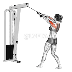 Cable Standing Rear Delt Row 