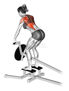 Lever T-bar Row demonstration