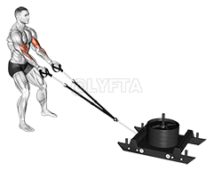 Thumbnail for the video of exercise: Fuqia Sled Biceps Curl