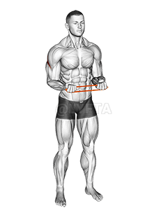 Resistentia Band Pullapart demonstration