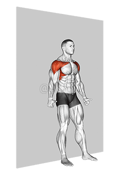Thumbnail for the video of exercise: Shoulder Flexion Back to Wall