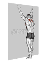 Thumbnail for the video of exercise: Forearm Wall Slide
