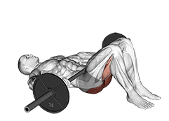 Image of Barbell Glute Bridge 
