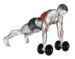 Image of Dumbbell Renegade Row