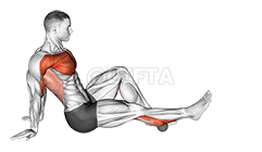 Rollball-siddende enkeltbens skulder-flexor-depresor-retraktor demonstration