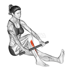 Thumbnail for the video of exercise: Self Anterior Calf Foam Rolling