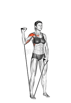 बैंड सिंगल आर्म शोल्डर प्रेस demonstration