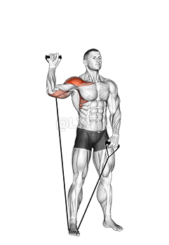 ባንድ ነጠላ ክንድ ትከሻ ይጫኑ demonstration