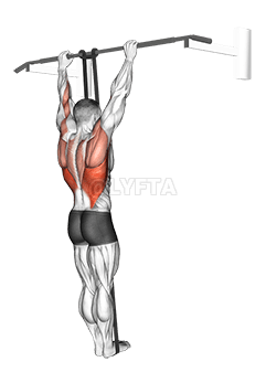 Pull-Up asistido por banda demonstration