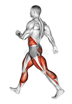 Taama teliya la demonstration