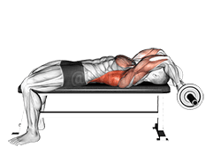 EZ Bar Pullover mit gebeugten Armen im Liegen demonstration