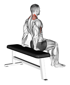 Scapula Dips demonstration