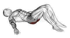 Low Glute Bridge på gulvet demonstration